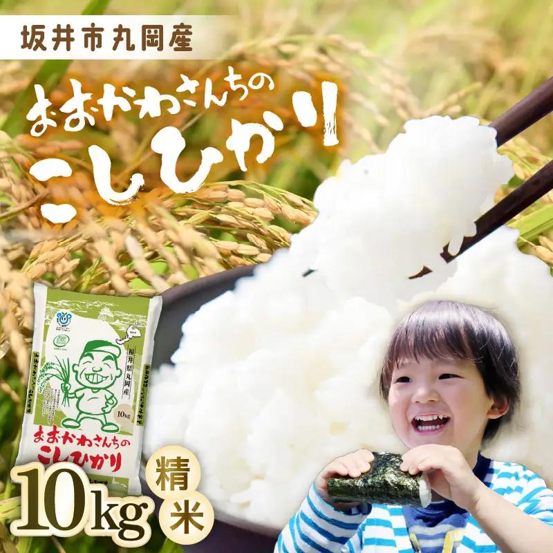 【令和7年産】 おおかわさんちのコシヒカリ 10kg [A-10818]