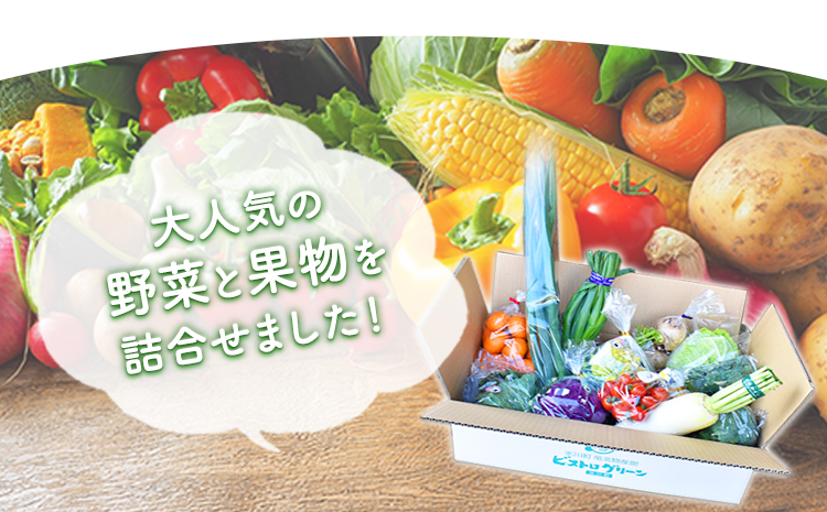 旬の新鮮野菜・果物詰合せセット たっぷり8-12品目 《30日以内に出荷予定(土日祝除く)》熊本県氷川町産 道の駅竜北