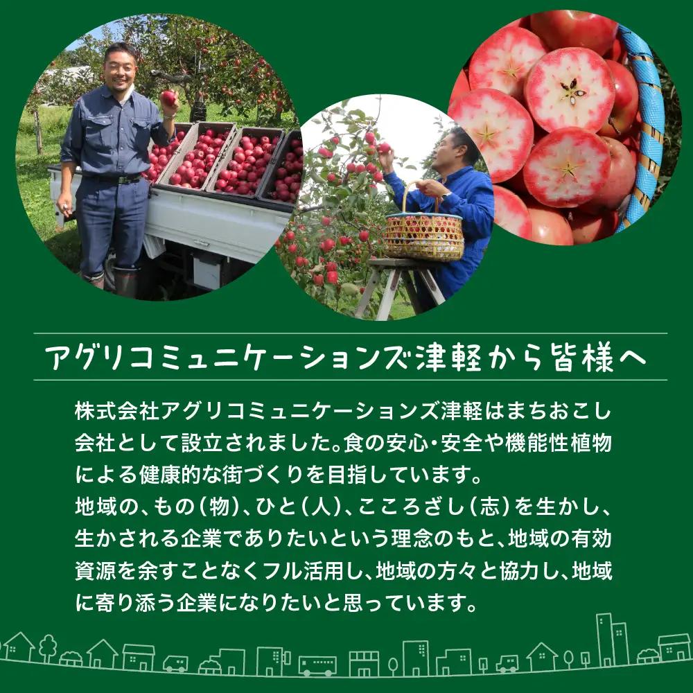 アップルティー Akarin5Tea 1袋（5パック）りんご茶ノンカフェイン【酸っぱい】青森県五所川原市 ＡＣＴ 御所川原