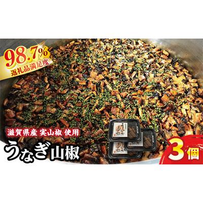 ふるさと納税 近江八幡市 【滋賀県産　手摘み　実山椒香る! 】うなぎ山椒　3個セット