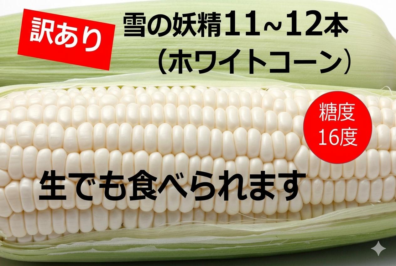 
                  訳あり 北海道 雪の妖精（ホワイトコーン）11～12本入り 約5キロ とうもろこし トウモロコシ 数量限定 期間限定 甘い 朝採り
                