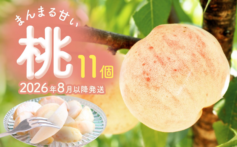 
            ＜先行受付＞富山県産 桃 11個 ＜2026年8月以降順次発送＞ もも 果物 産地直送 期間限定 富山県 氷見市
          