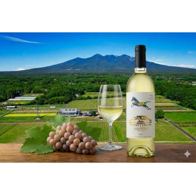 ふるさと納税 韮崎市 甲州 2025 【Etude-2 低温発酵】 750ml×1本