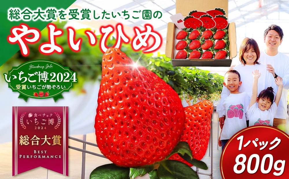 
                  【いちご博総合大賞】やよいひめ 約800g | いちご 苺 イチゴ ストロベリー 冷蔵 甘い 新鮮 完熟 大粒 果物 フルーツ 産地直送 農家直送 国産 人気 おすすめ 高級 ギフト 贈答 プレゼント お祝い 大賞受賞 高評価 群馬県 伊勢崎市 先行受付 先行予約 ※2027年1月～発送
                