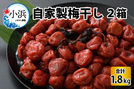 自家製 梅干し 900g × 2箱 / うめぼし 梅 うめ 福井県 小浜市 / 今富食料品店 [BFAN003] 