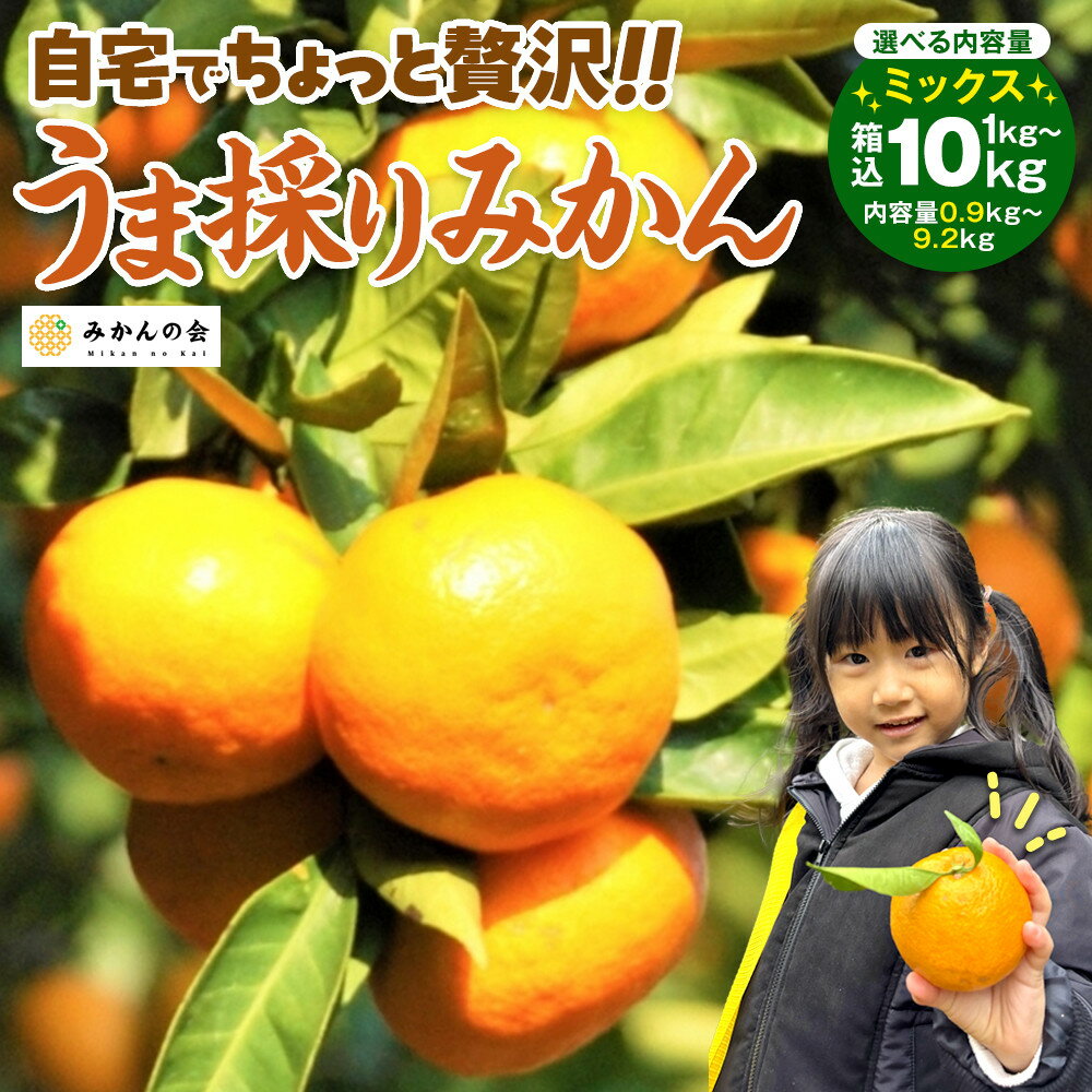 【ふるさと納税】【選べる内容量】【お歳暮】みかん うま採り 箱込約 1～10kg（内容量0.9～9.2kg） 光センサー選別 みかんの会厳選 サイズミックス 和歌山県産 産地直送 【みかんの会】 | フルーツ 食品 人気 おすすめ 送料無料