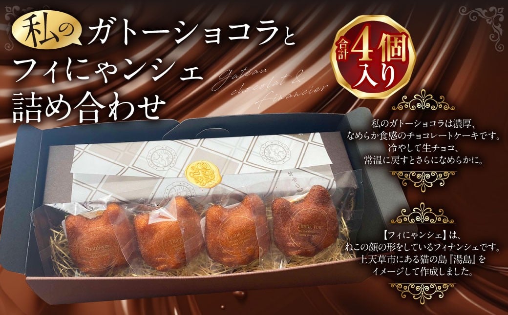 
            まるで生チョコ！？ 私のガトーショコラとフィにゃンシェ 詰め合わせ ガトーショコラ チョコ チョコケーキ フィナンシェ ケーキ スイーツ セット 詰め合わせ  小麦粉不使用 グルテンフリー 冷蔵 熊本県 上天草市
          