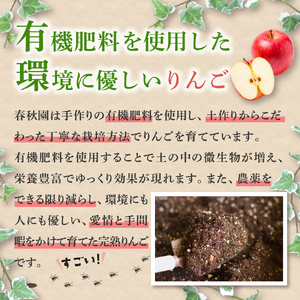 【2025年10月上旬発送】高級品 早生ふじ 5kg