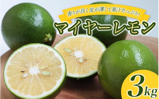 はぎファームのマイヤーレモン ３kg 【2025年10月～2026年1月下旬の期間で順次発送】 / レモン 国産 マイヤーレモン 数量限定