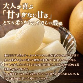 DS-07　新興梨 5kg