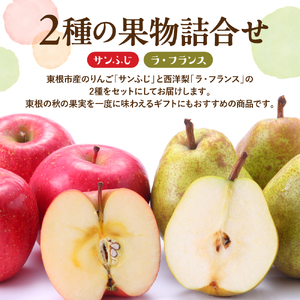 【2026年産】サンふじ&ラフランス 3kg 秀品 化粧箱入 りんご