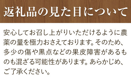 【手選別・産直】紀の川市産の安心国産レモン 約3kg 紀の川市厳選館《11月出荷》 和歌山県 紀の川市 フルーツ 果物 柑橘 レモン