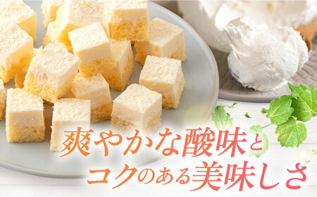 クリームチーズケーキ 【ファミール製菓株式会社】[AKCI006]
