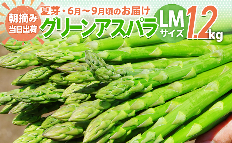 アスパラガス 夏芽 LM 1.2kg【6月から9月お届け】BT07