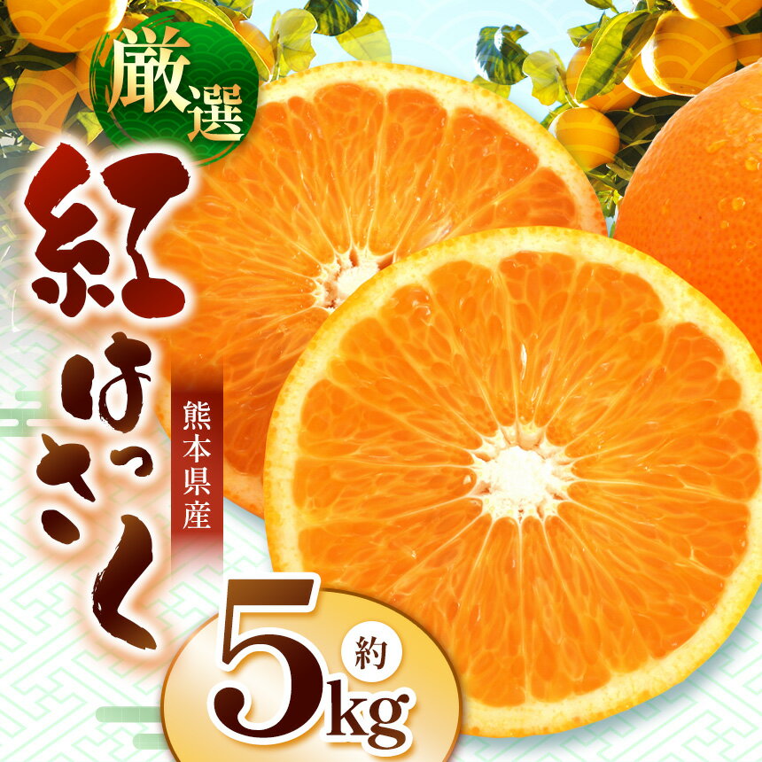 【ふるさと納税】こだわり栽培 厳選 紅八朔 約 5kg iFARM 岩城農園 | みかん ミカン 八朔 はっさく 紅はっさく 柑橘 柑橘類 農家支援 紅八朔5kg フルーツ 果実 果物 くだもの 人気 熊本県 玉名市