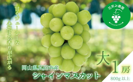 hana34.岡山　花笑み農園 の『シャインマスカット』800g以上(大1房)