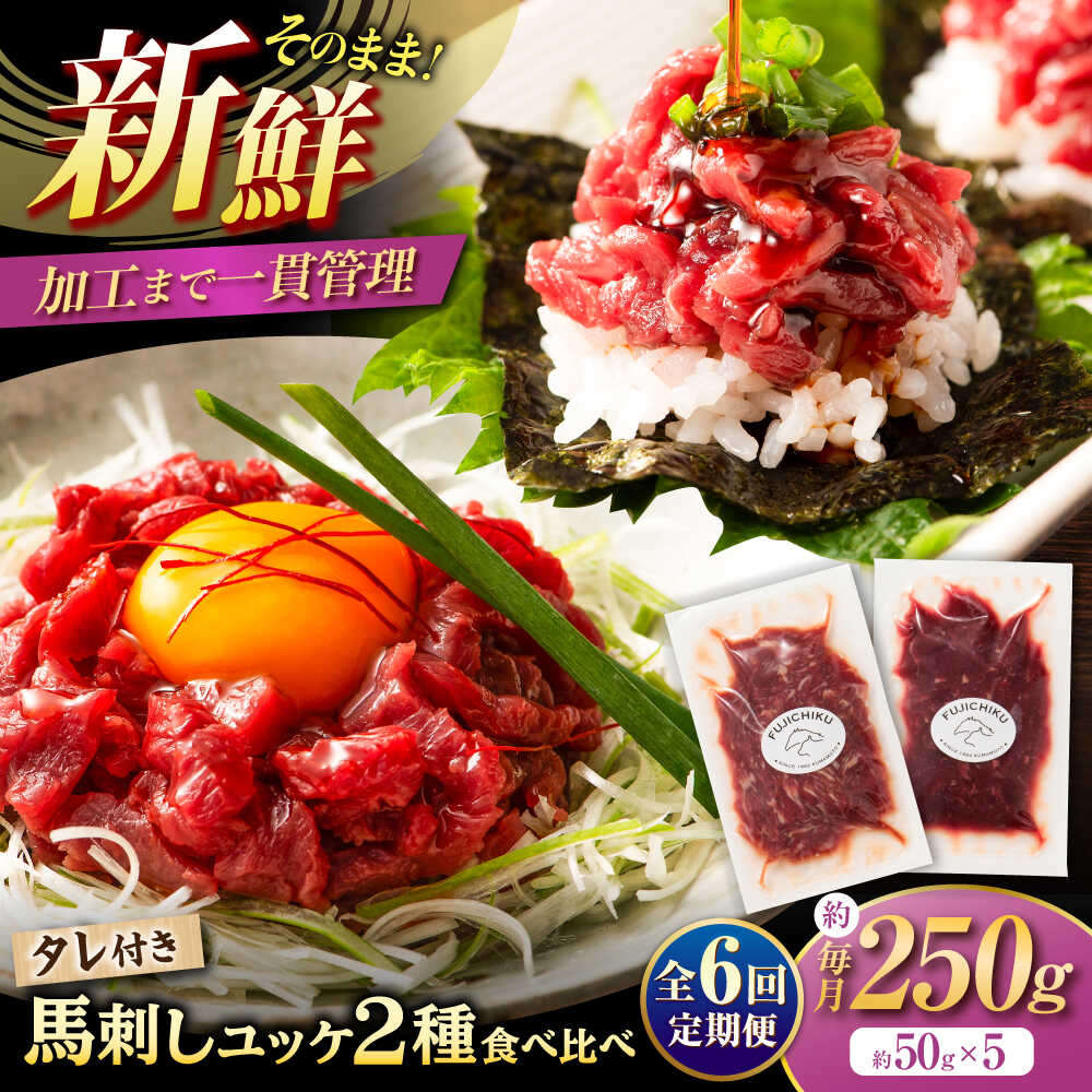 【ふるさと納税】【全6回定期便】「フジチク」ユッケ 2種の贅沢 食べ比べセット / 馬刺し 馬肉 刺し身 旨み 馬刺し 馬肉 冷凍 送料無料【株式会社フジチク】[BHAD114]