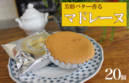 マドレーヌ 20個 10個入×2箱 セット 洋菓子 おやつ 焼き菓子 ギフト 贈り物 人気 厳選 おすすめ