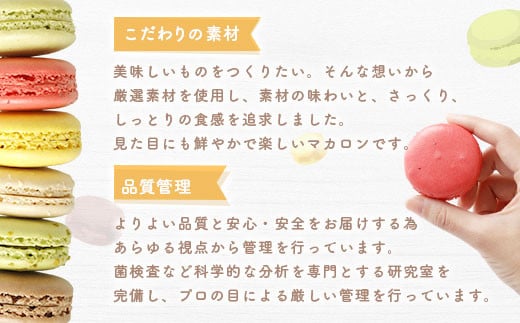 【2025年8月発送】 一流パティシエが認めるホテル使用品 お試し マカロン セット 12個（6種類×2個）冷凍 スイーツ デザート とろとろ 洋菓子 【選べる配送月】