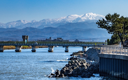 ふぐのたたき 2パック(約200g×2本) フグ 海鮮【石川県漁業協同組合小松支所】
