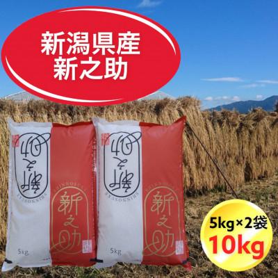 ふるさと納税 胎内市 令和7年産　新潟県胎内市産新之助10kg(5kg×2袋)(精米)