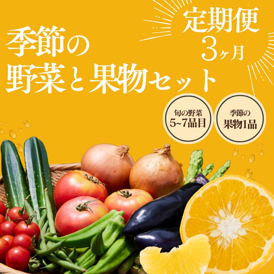 湯の花　季節の野菜と果物定期便3ヶ月 【3ヶ月 定期便 旬 野菜 果物 セット 柑橘 春野菜 夏野菜 秋野菜 冬野菜 人気 】