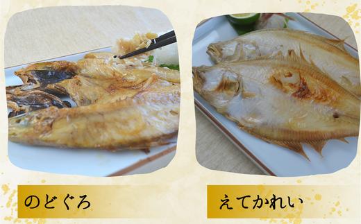 【干物 日本海一夜干しセット ノドグロ2枚、エテカレイ5枚、ハタハタ7尾、スルメイカ2枚 干物の本場 香住産 冷凍】日本海の旬の干物が大集合です。伝統の技術 素材の良さ抜群 兵庫県 香美町  柴山 大