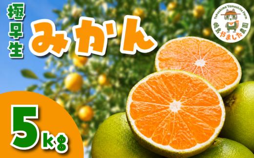 【先行予約】 【2026年10月順次発送】 極早生みかん 5kg  みかん  温州みかん 極早生 早生 完熟 柑橘 果物 フルーツ 国産 新鮮 お中元 甘い 農家直送 【北海道、東北、離島、沖縄配送不可】
