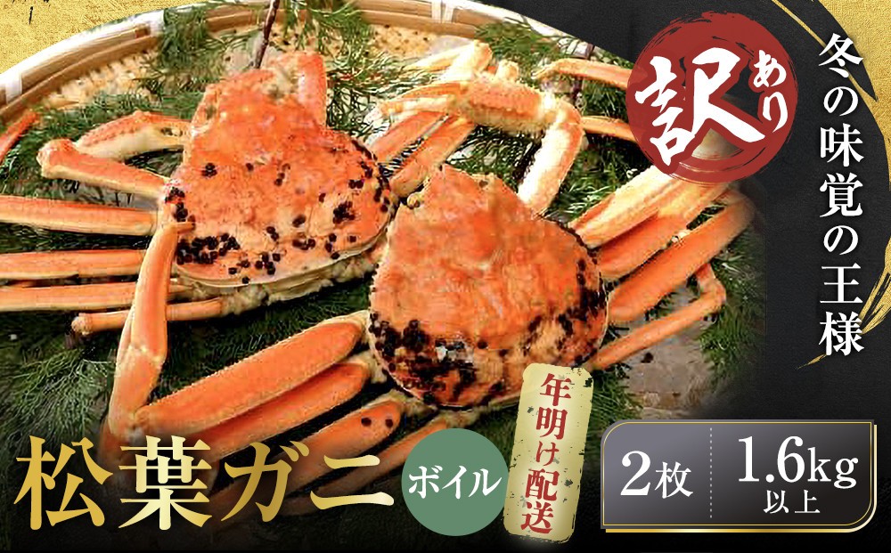 【先行予約】【訳アリ】松葉ガニ（ボイル）2枚（計1.6kg以上）【年明け配送】【訳あり 松葉がに 松葉蟹 ズワイガニ 蟹 カニ かに 国産 人気 おすすめ 鳥取県 琴浦町 送料無料】