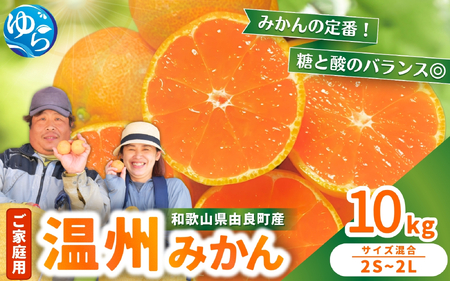 家庭用 温州みかん 10kg ※2026年11月中旬頃～12月下旬頃に順次発送予定 農家直送 / くだもの  果実  柑橘 果物 フルーツ 国産 和歌山県 由良町 ご家庭用 人気 おすすめ【nktn004-c-10】