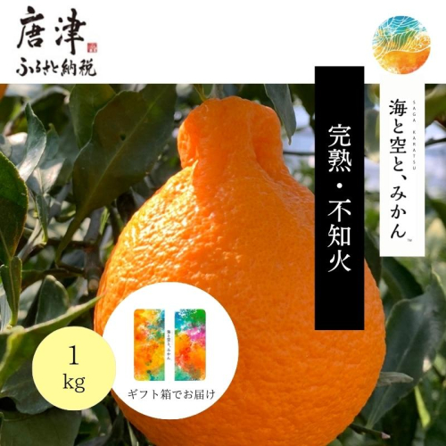 『先行予約』【令和8年1月下旬発送】唐津産ハウス育ち「不知火」1kg 贈答箱・ギフトボックス入り  ～海と空と、みかん～ デコポン ミカン みかん 柑橘 ギフト