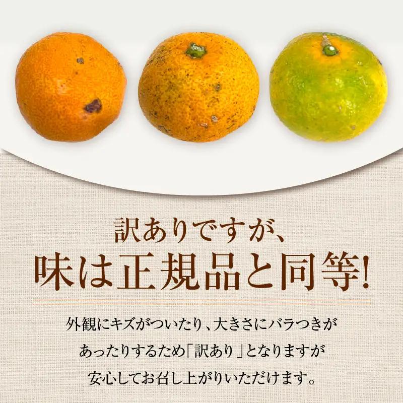 訳あり 温州みかん 計5kg以上 傷み補償分入り_ZZV4-26