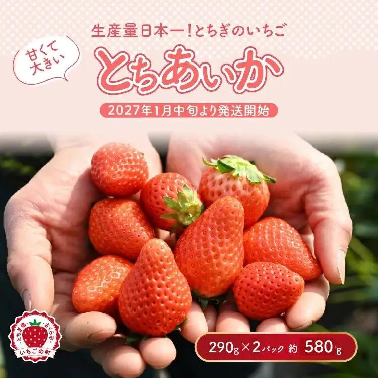 いちご とちあいか（290g×2パック） ※2027年1月～発送