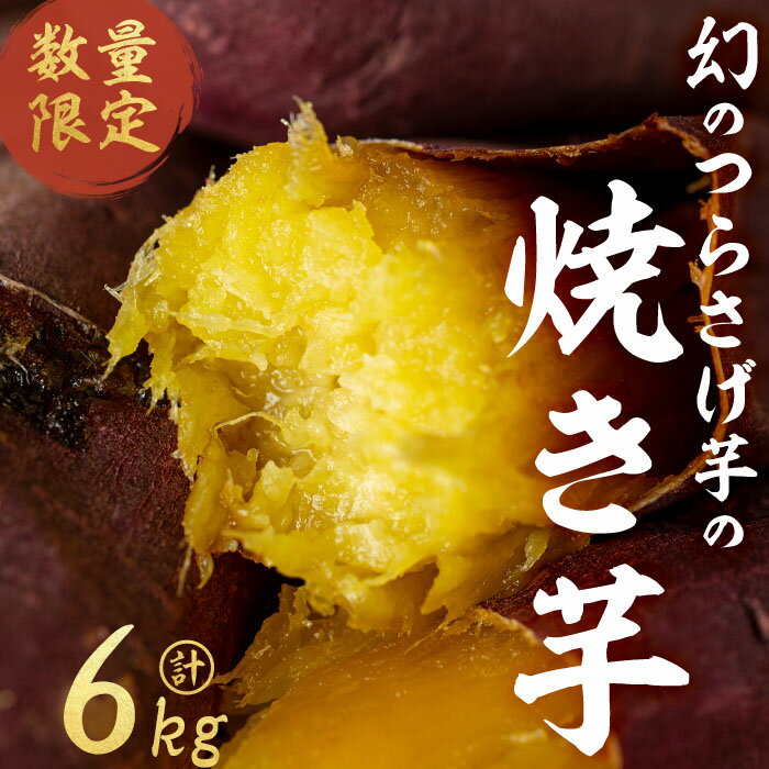 【ふるさと納税】【数量限定】〈先行予約〉つらさげ芋の 焼き芋(500g×12P) さつまいも おやつ さつま芋 サツマイモ お菓子 産地直送 お取り寄せ 数量限定 紅はるか 高級 和スイーツ 焼き芋 やきいも 焼芋 贈答用 【森人くらぶ】E5-1906