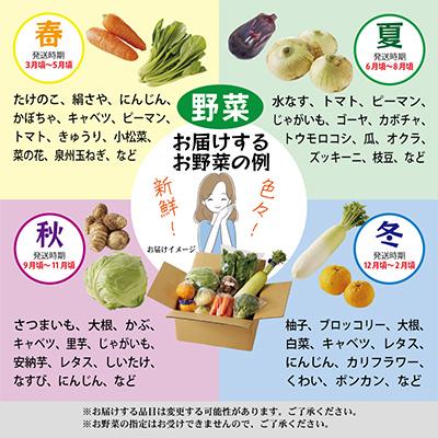 ふるさと納税 泉佐野市 主婦が選んだ 普段使いにおすすめセット(銀鮭 切り身 卵 野菜)【複数個口で配送】 099S015 |  | 03