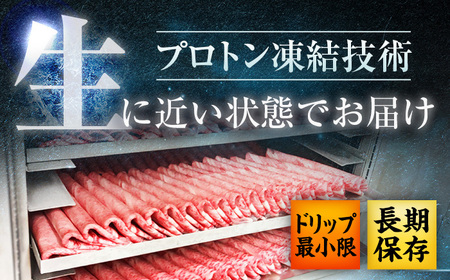 近江牛 すき焼き用 切り落し 500g BIBH005 近江牛