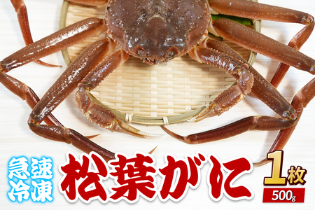 松葉がに（冷凍）約500g 1枚｜鳥取 岩美 かに 松葉ガニ 冷凍 生 プロトン凍結 急速冷凍【22047】
