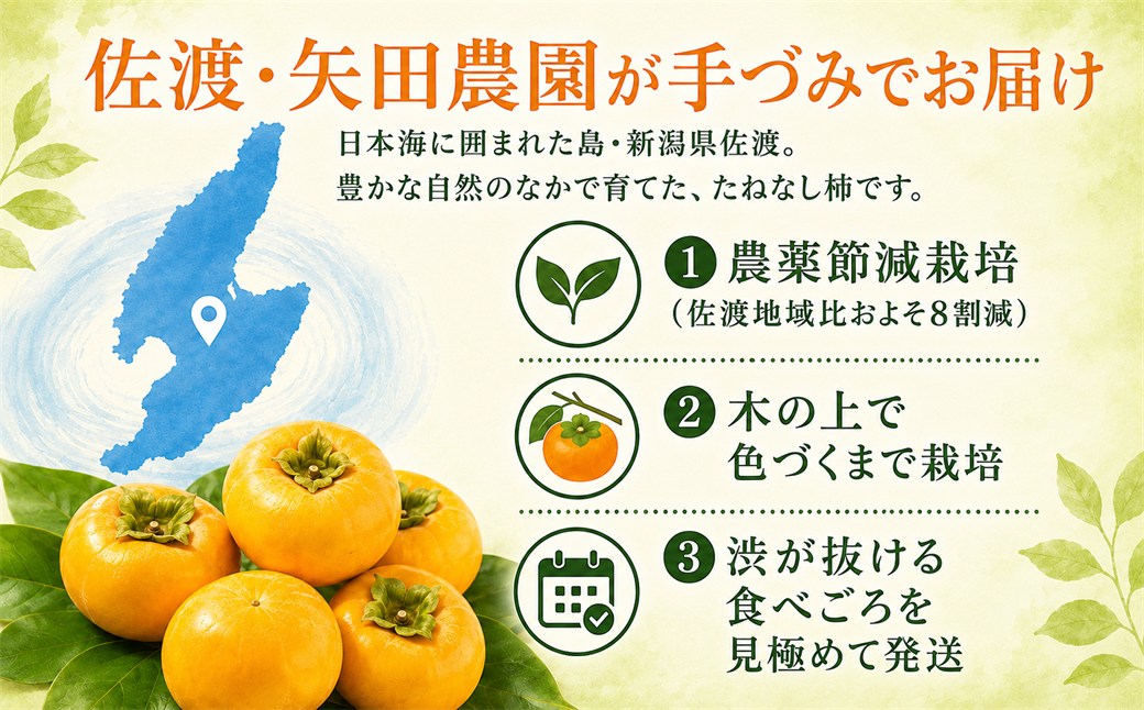 たねなし柿（島のかき）農薬節減栽培　3キロ