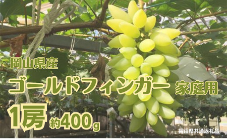 ご家庭用 ゴールドフィンガー 1房 約400g【先行予約 2026年7月中旬から順次発送】