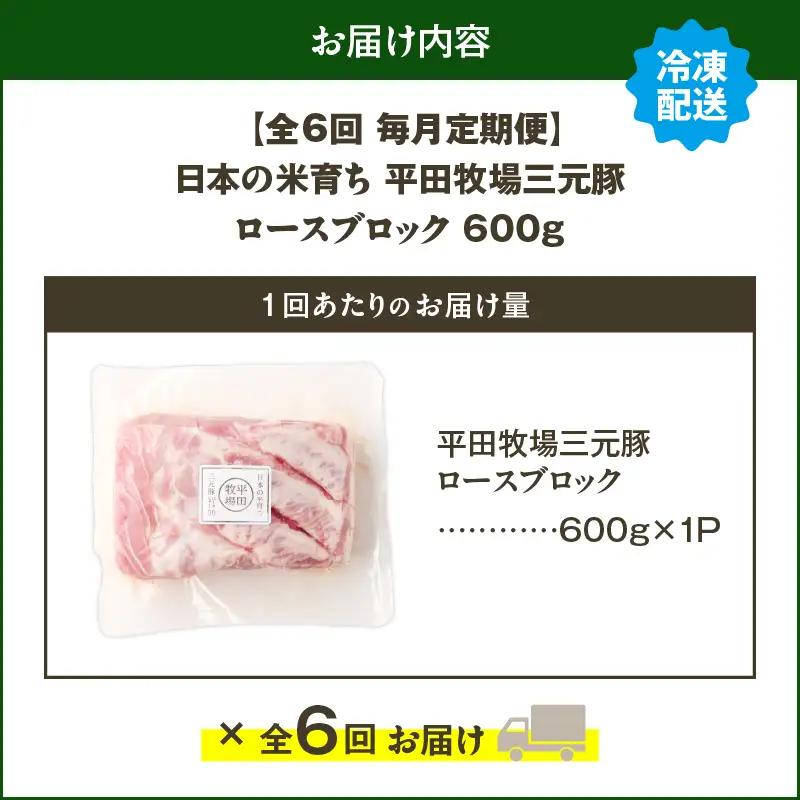 【 全6回 毎月 定期便 】 日本 の 米育ち 平田牧場 三元豚 ロース ブロック 600g T036-T06-02 肉 豚肉