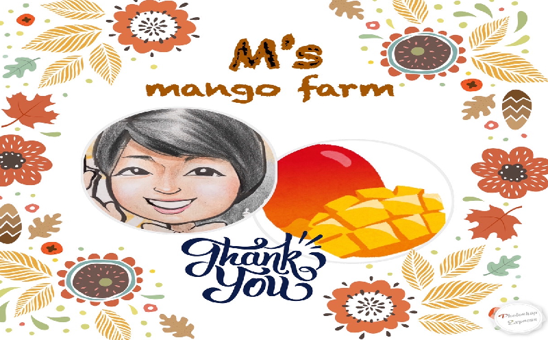 2025年発送【沖縄やんばる産】約1kg　良品アップルマンゴー（Ms mango farm） 南国 南国フルーツ 先行予約 期間限定 沖縄 甘味 糖度 フルーツ 果物 果実 プレゼント ギフト トロピ