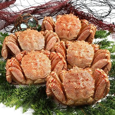 ふるさと納税 釧路市 【浜茹で!】ボイル毛ガニ3.0kg 詰め(冷凍)5尾入り ふるさと納税 かに 蟹 F4F-5472