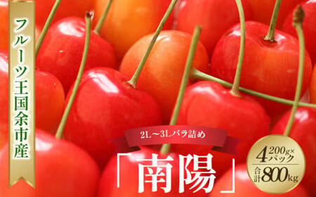 2025年発送【先行予約】令和7年産 フルーツ王国余市産「南陽（2L～3Lバラ詰め）」200g×4パック【ニトリ観光果樹園】 さくらんぼ フルーツ デザート 果物 旬 季節限定 グルメ 冷蔵 お取り寄せ  北海道 余市町 _Y074-0119