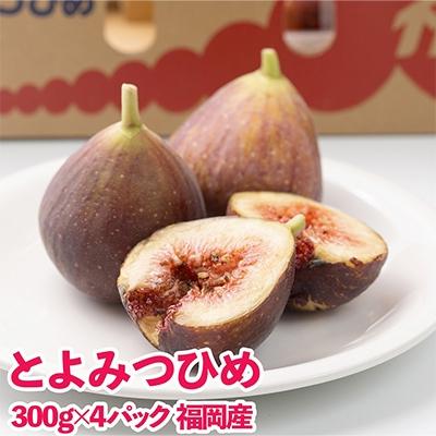 ふるさと納税 遠賀町 【先行受付】福岡産ブランドいちじく「とよみつひめ」約300g×4パック(遠賀町)