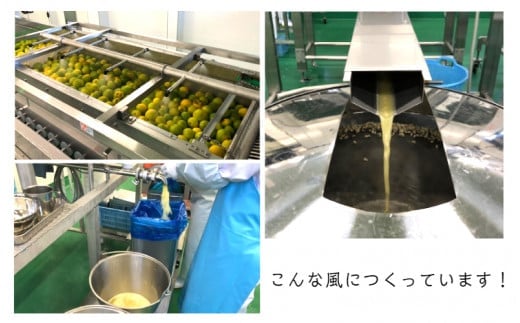 大分かぼすゼリー　140g×24個