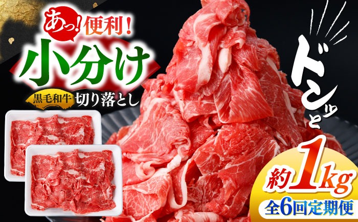 【6回定期便】国産 黒毛和牛 熟成肉 切り落とし計1kg（500g×2パック）/ 小分け 国産牛 お肉 牛肉 切落し 冷凍 焼肉 すき焼き / 南島原市 / ふるさと企画[SBA096]