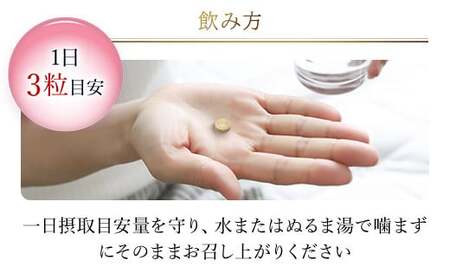 75911_【機能性表示食品】DHCイチョウ葉脳内α(アルファ) 30日分 4個セット（120日分） MBB026