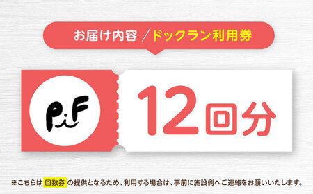 ドッグラン利用券(12回分) / ドッグラン 犬 施設 利用券 利用チケット 回数券 ペット / 諫早市 / 株式会社美泉[AHAP042]