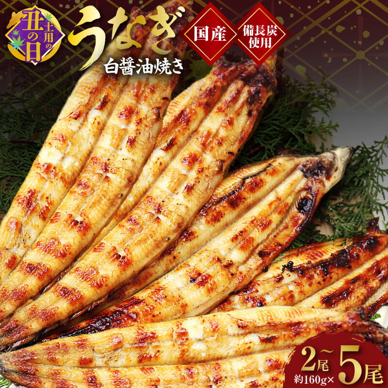 【ふるさと納税】【土用の丑の日までにお届け】 国産！ うなぎ白醤油焼き せいろ蒸し 備長炭仕上げ 土用の丑の日 鰻 備長炭 せいろ蒸し 脂のり 秘伝の白醤油 パリパリ ふっくら 食感 うな重 ひつまぶし おかず 冷凍 大阪府 泉佐野市 送料無料 先行予約