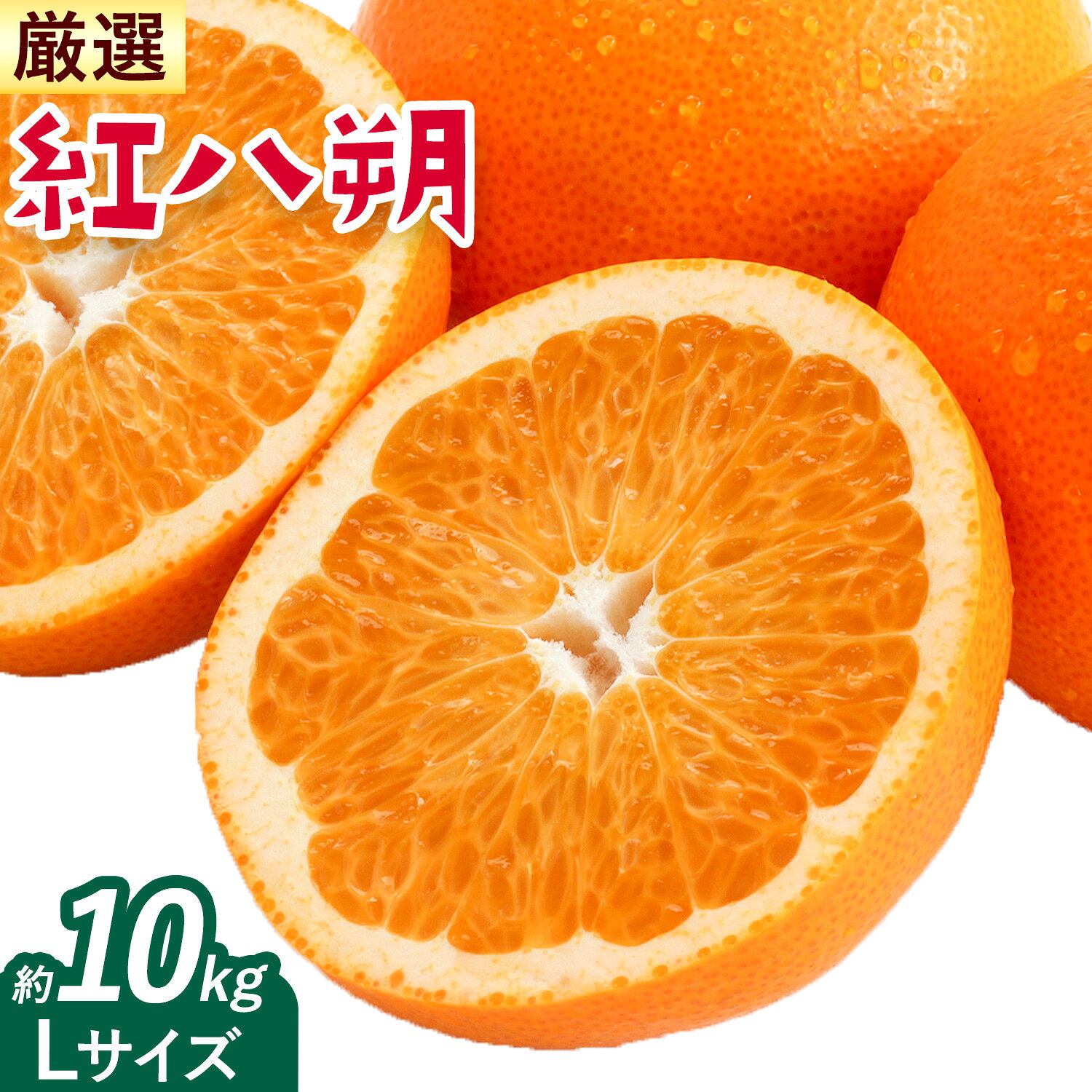 【ふるさと納税】みかん 紅八朔 厳選 Lサイズ 約10kg GOGO農園《2027年1月中旬-2月末旬頃出荷》 和歌山県 日高川町 はっさく みかん 柑橘 蜜柑 フルーツ 送料無料